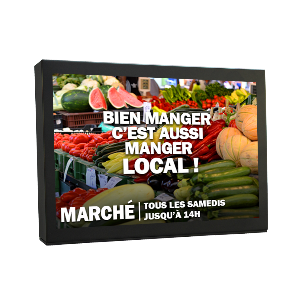 Panneau d'Affichage LED Mural