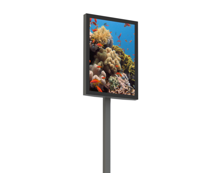 Panneau LED Portrait Display Media